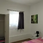 Viola * Bogács