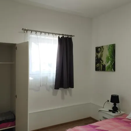 Viola * Bogács