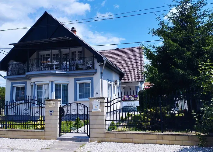 Viola * Bogács